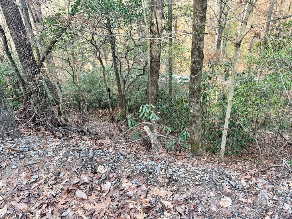 L53 Amy Creek Circle, Ellijay GA 30540 - Photo