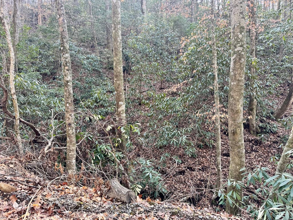 L53 Amy Creek Circle, Ellijay GA 30540 - Photo
