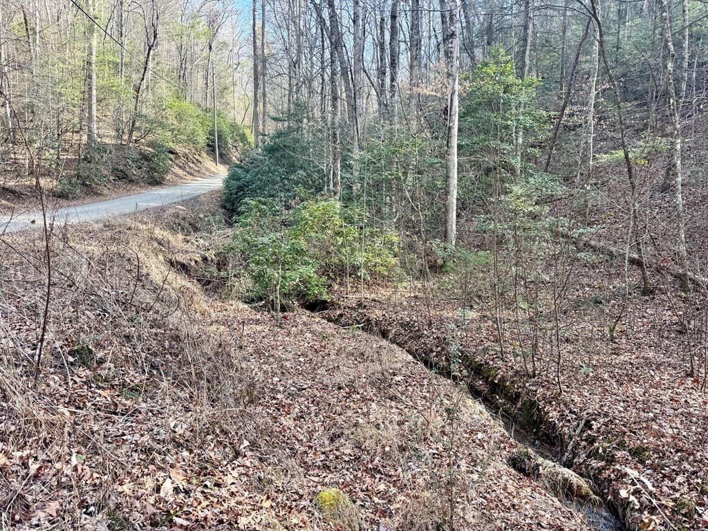 L53 Amy Creek Circle, Ellijay GA 30540 - Photo