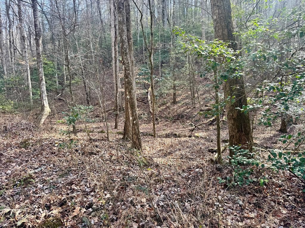 L53 Amy Creek Circle, Ellijay GA 30540 - Primary photo