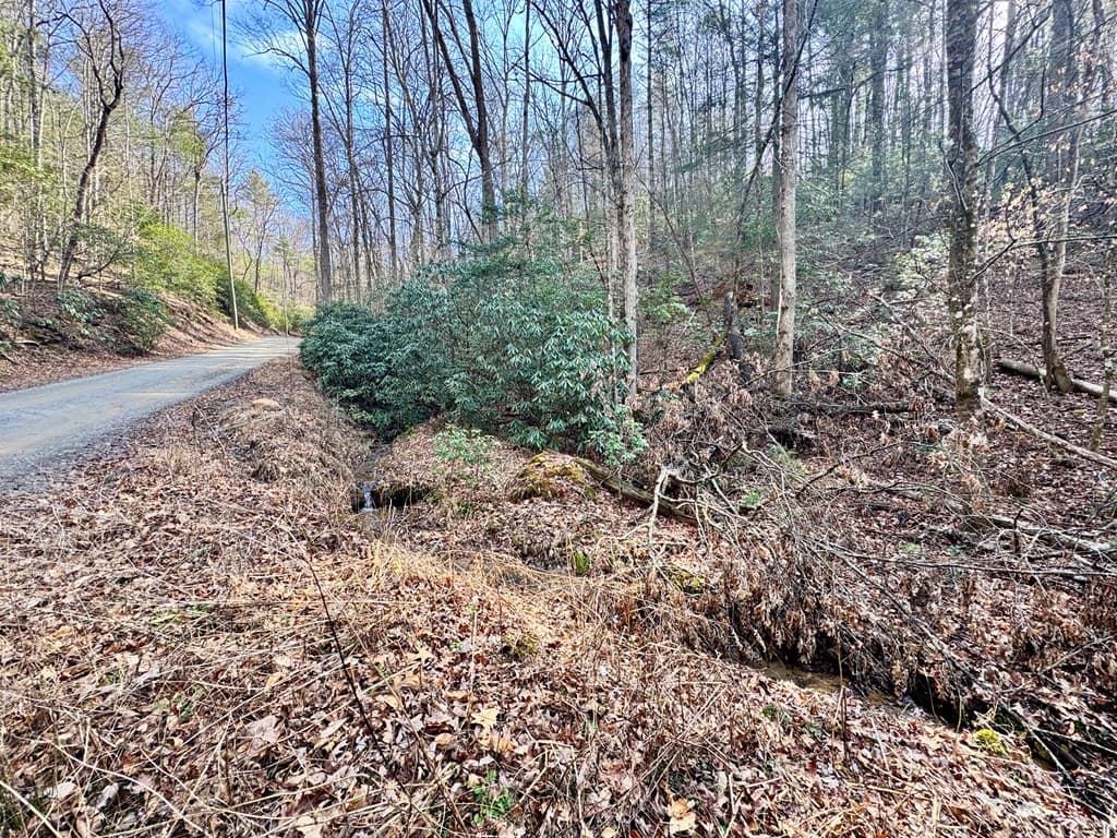 L53 Amy Creek Circle, Ellijay GA 30540 - Photo