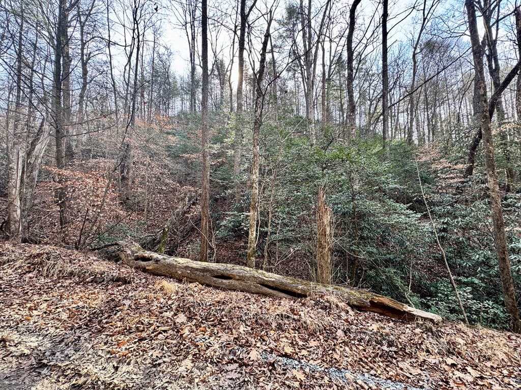 L53 Amy Creek Circle, Ellijay GA 30540 - Photo