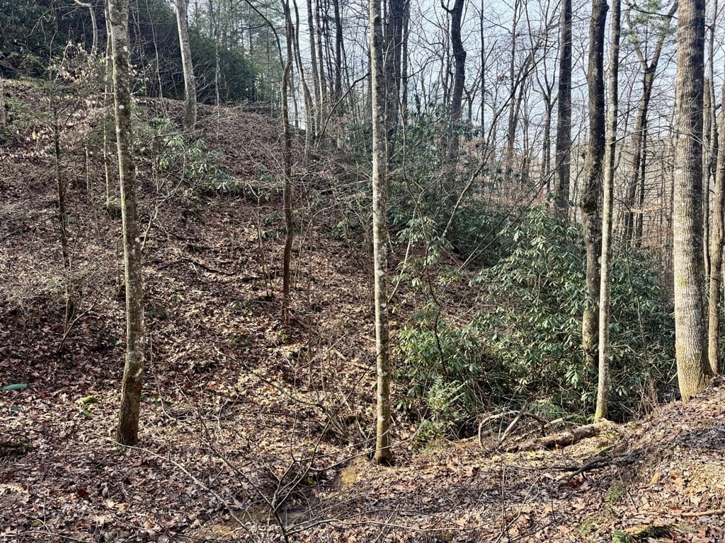L53 Amy Creek Circle, Ellijay GA 30540 - Photo