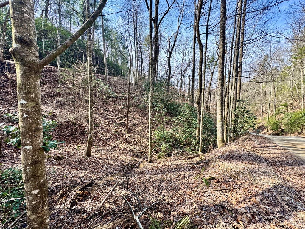 L53 Amy Creek Circle, Ellijay GA 30540 - Photo