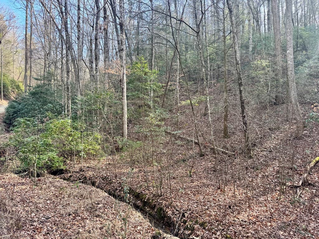 L53 Amy Creek Circle, Ellijay GA 30540 - Photo