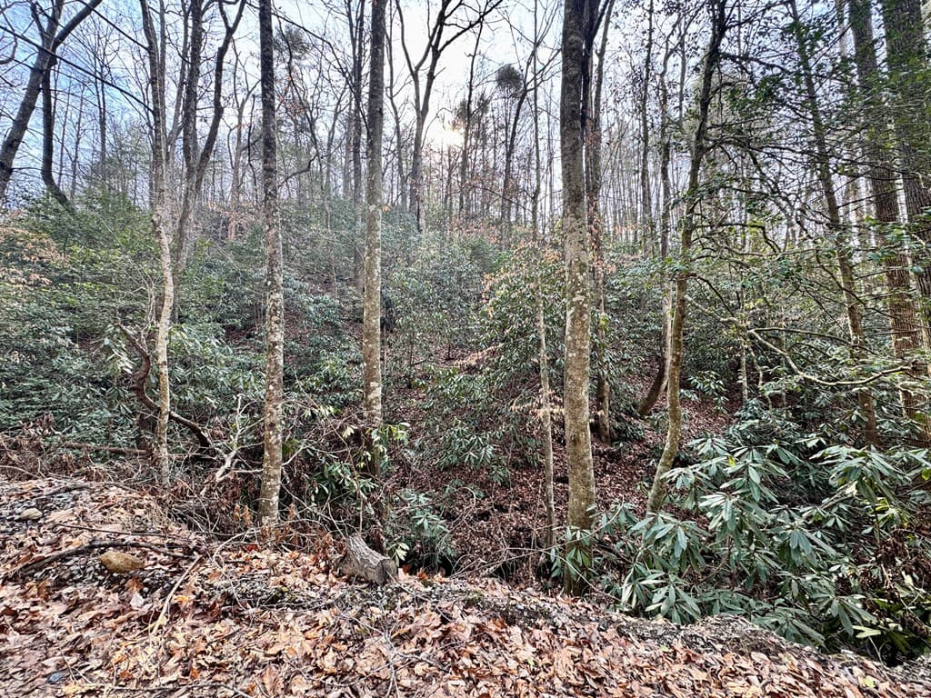 L53 Amy Creek Circle, Ellijay GA 30540 - Photo