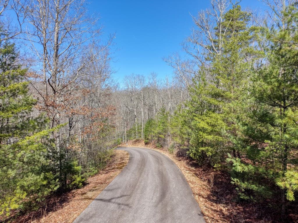 Lot 40 Lola Mae Way, Morganton GA 30560 - Photo