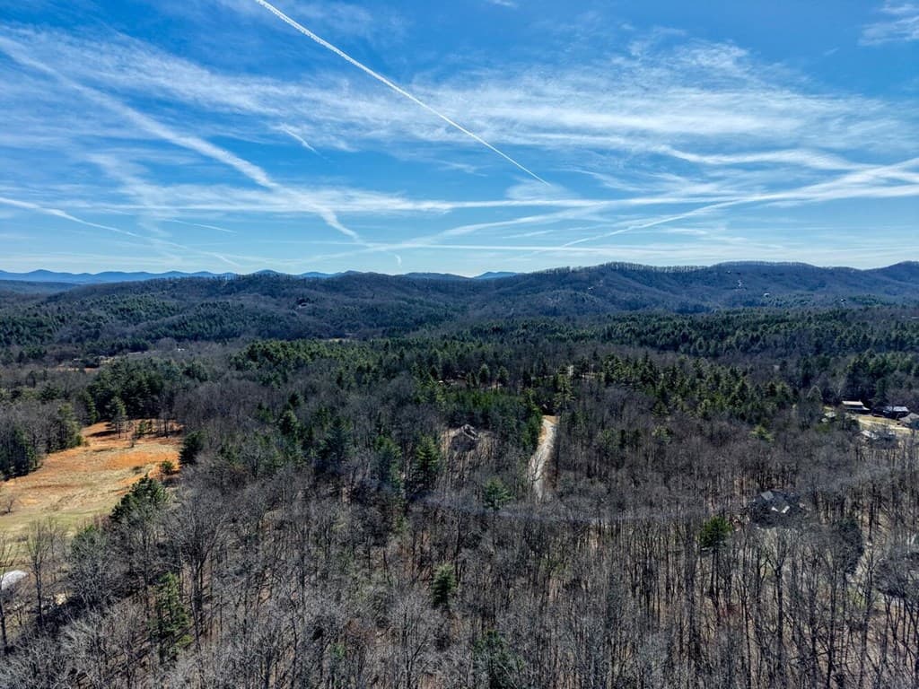 Lot 40 Lola Mae Way, Morganton GA 30560 - Photo