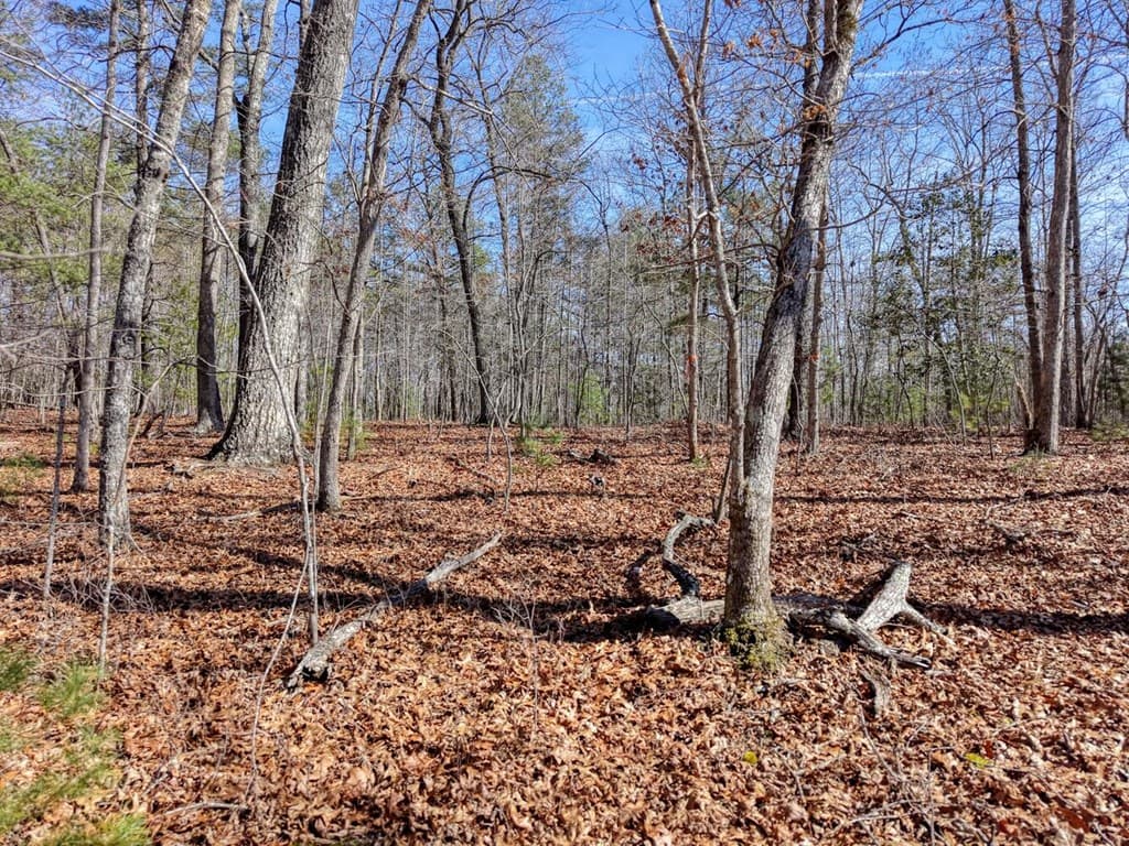 Lot 40 Lola Mae Way, Morganton GA 30560 - Photo