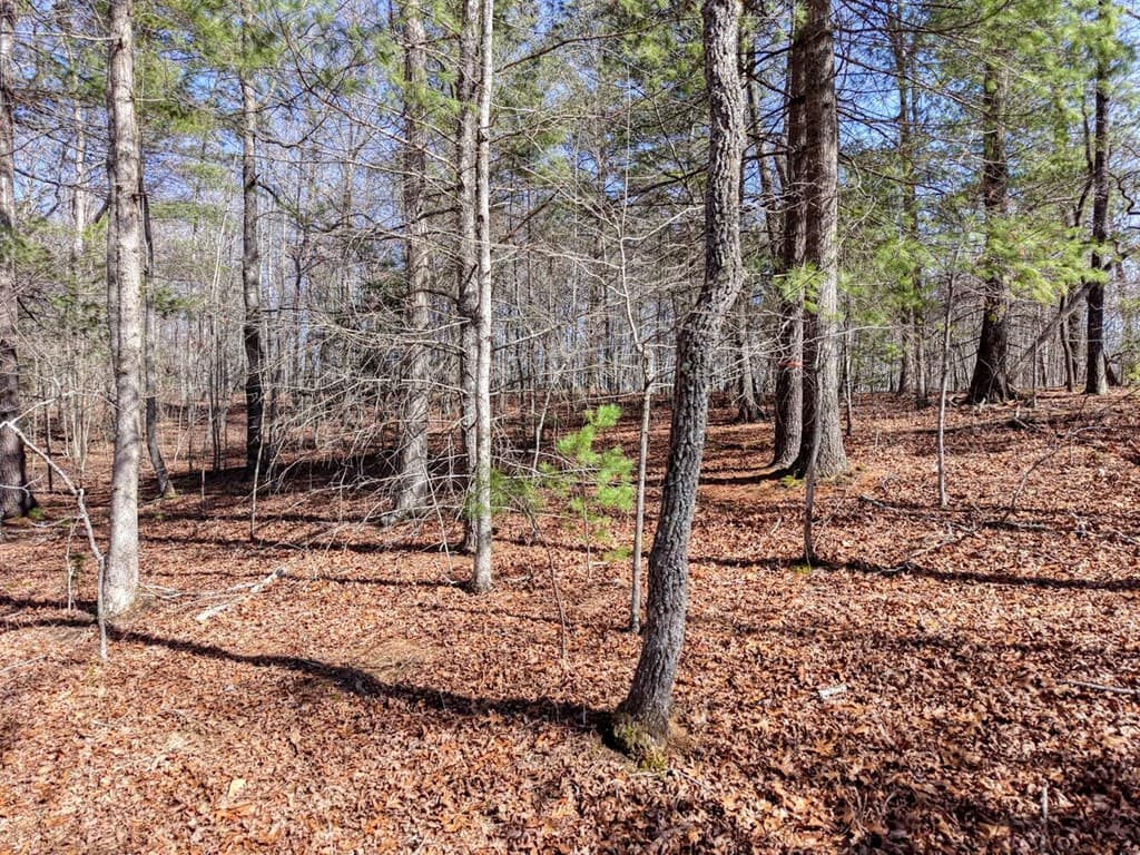 Lot 40 Lola Mae Way, Morganton GA 30560 - Photo