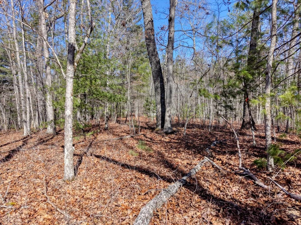 Lot 40 Lola Mae Way, Morganton GA 30560 - Photo
