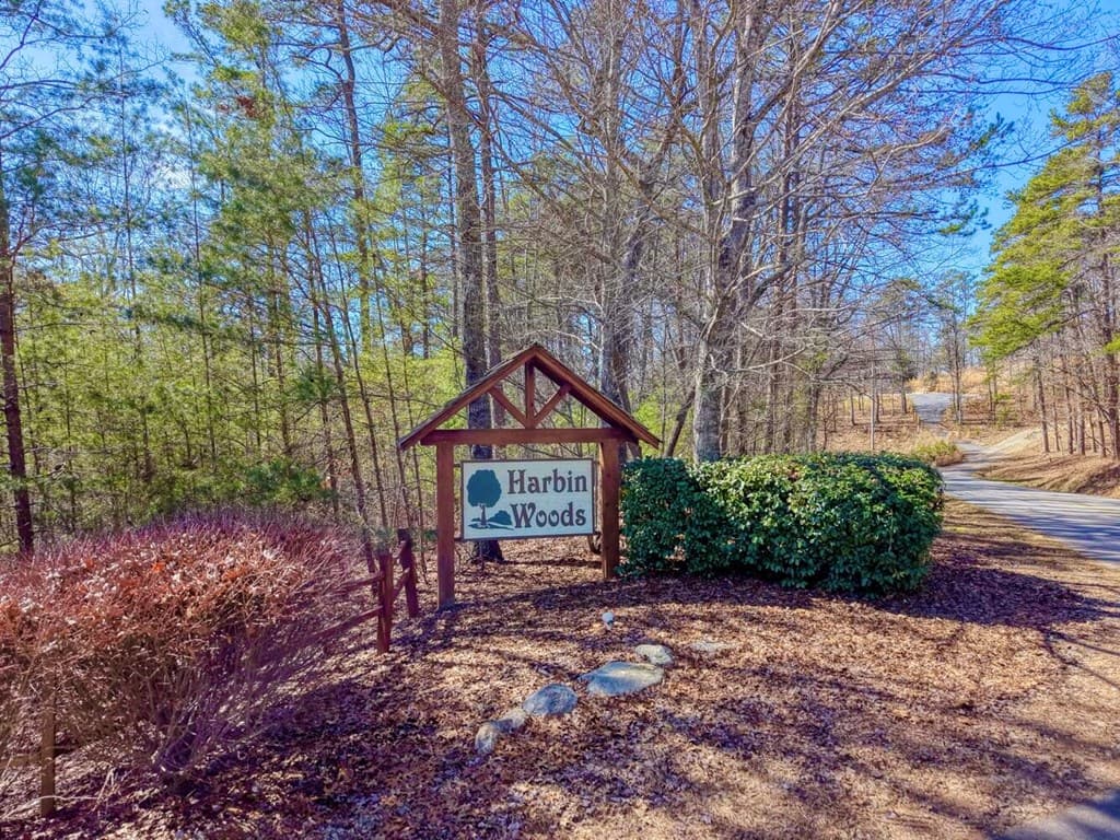 Lot 40 Lola Mae Way, Morganton GA 30560 - Photo