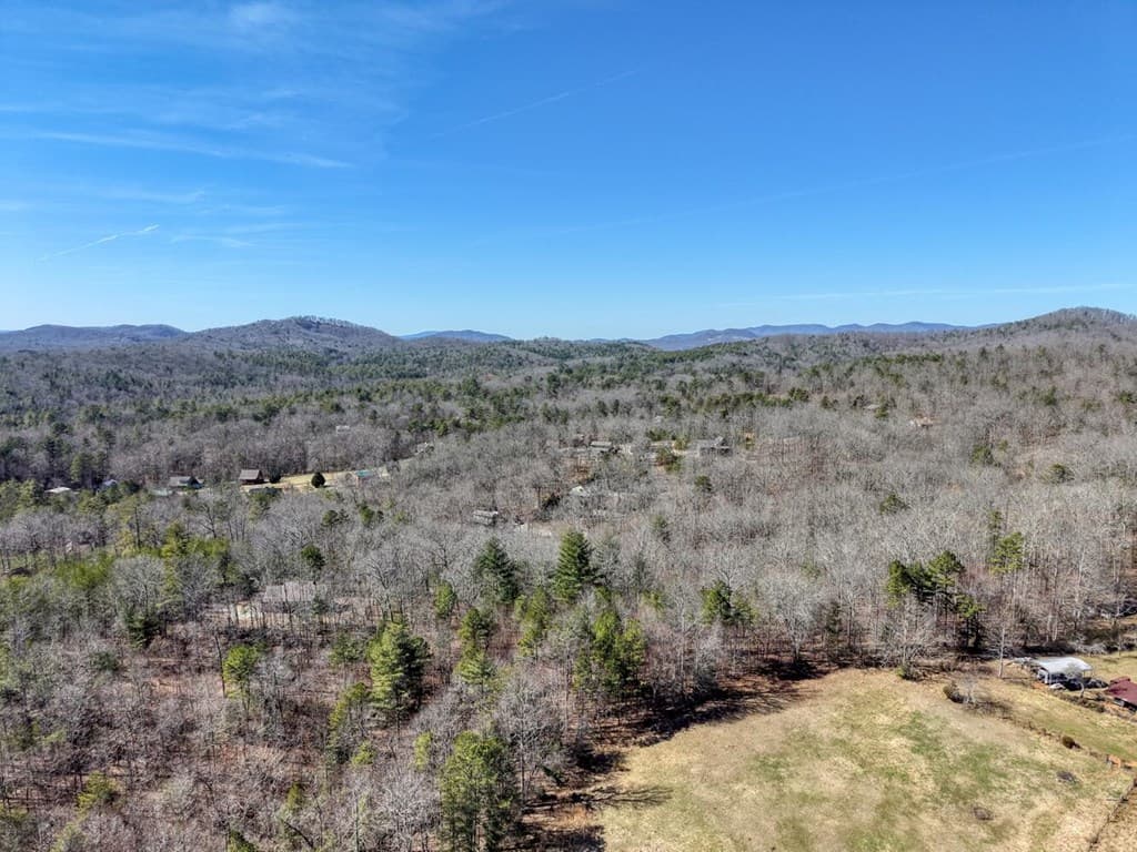 Lot 40 Lola Mae Way, Morganton GA 30560 - Photo