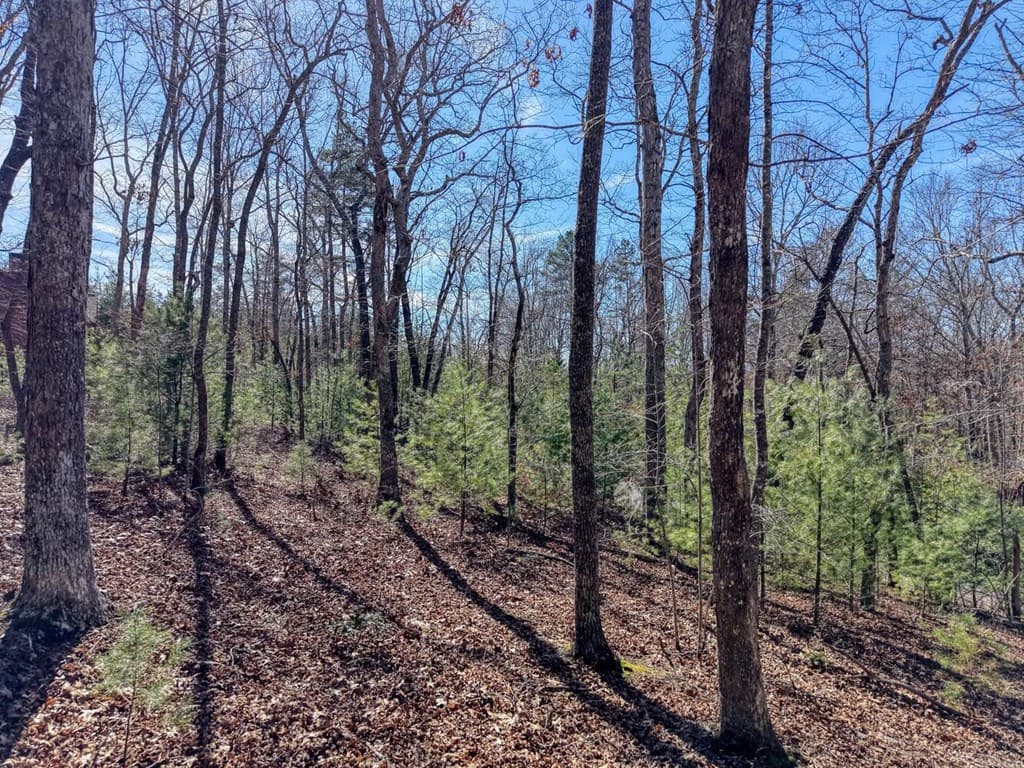 Lot 40 Lola Mae Way, Morganton GA 30560 - Photo