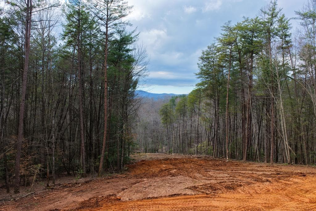 45 Clay's Way, Blue Ridge GA 30513 - Photo