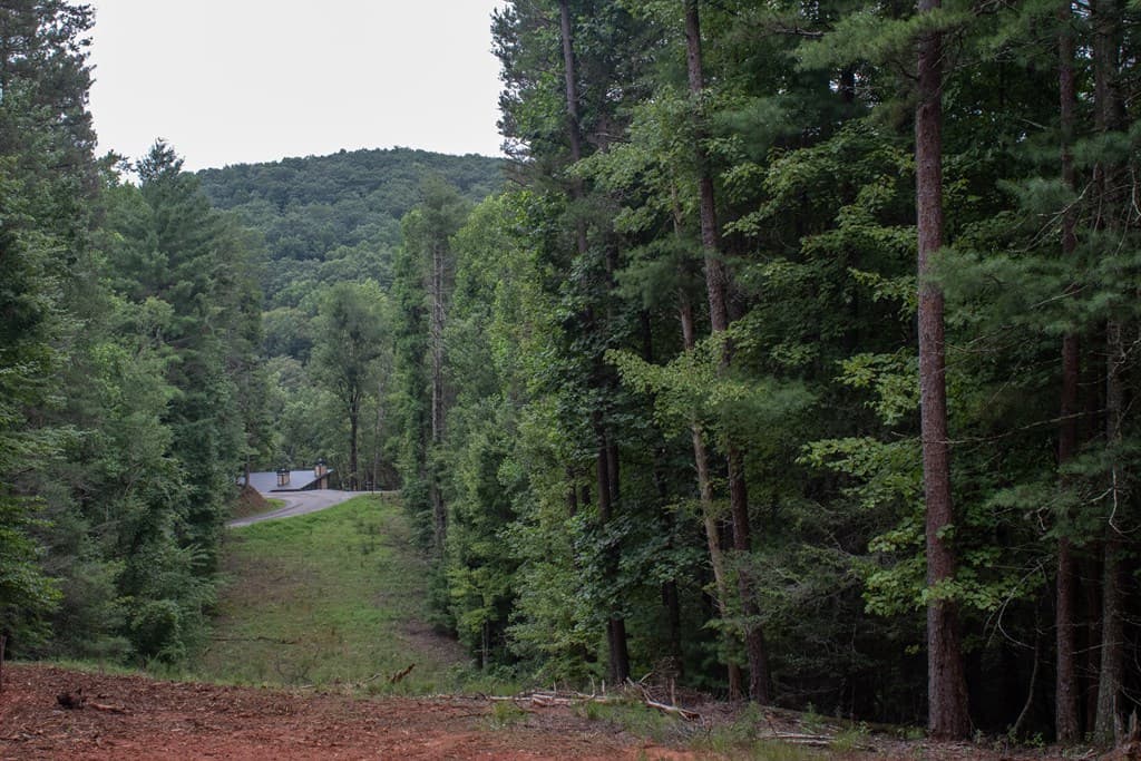 45 Clay's Way, Blue Ridge GA 30513 - Photo