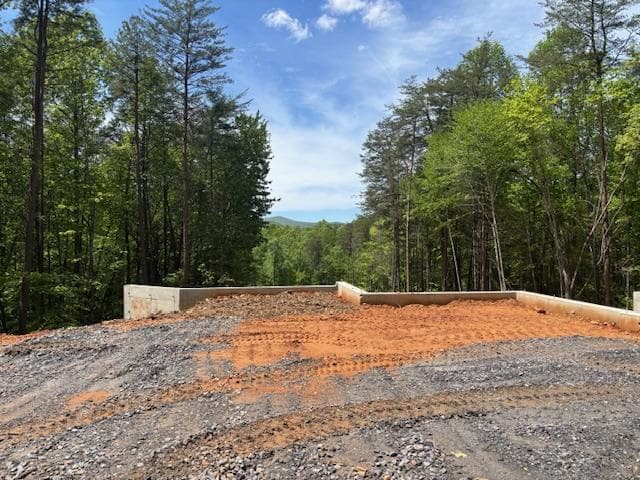 45 Clay's Way, Blue Ridge GA 30513 - Photo