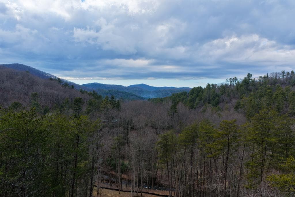 45 Clay's Way, Blue Ridge GA 30513 - Photo