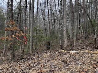 29,30 Sunset Drive W, Young Harris GA 30585 - Photo