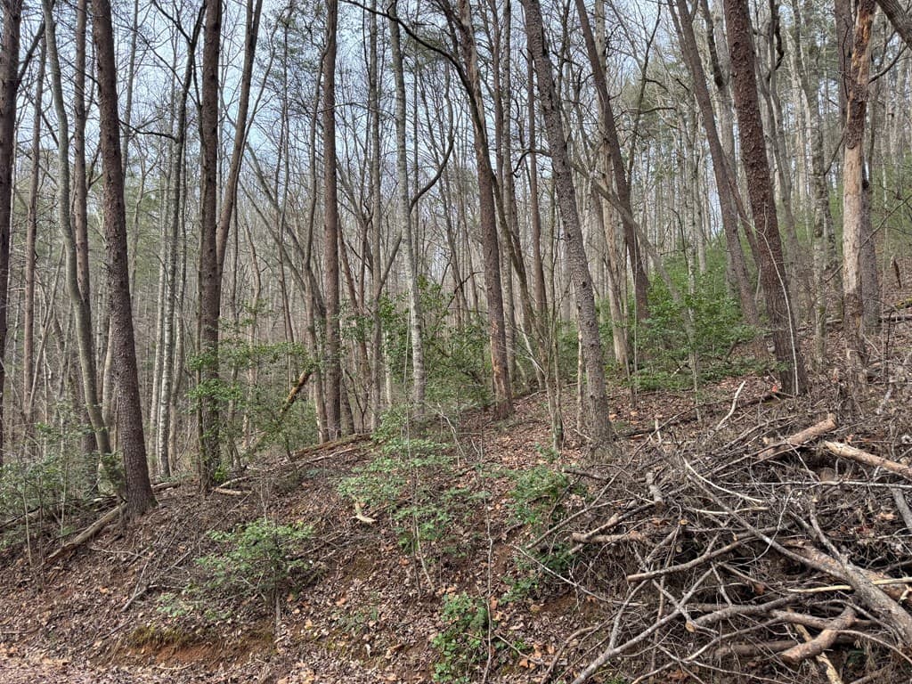 29,30 Sunset Drive W, Young Harris GA 30585 - Photo