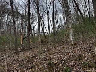 29,30 Sunset Drive W, Young Harris GA 30585 - Photo