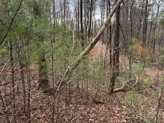 29,30 Sunset Drive W, Young Harris GA 30585 - Photo
