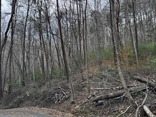 29,30 Sunset Drive W, Young Harris GA 30585 - Photo