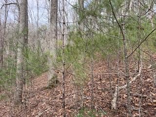 29,30 Sunset Drive W, Young Harris GA 30585 - Photo