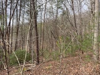 29,30 Sunset Drive W, Young Harris GA 30585 - Photo