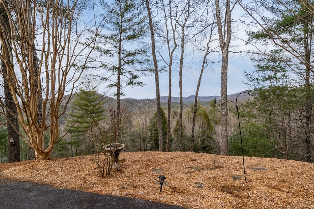131 Toccoa Overlook Lane, Blue Ridge GA 30513 - Photo