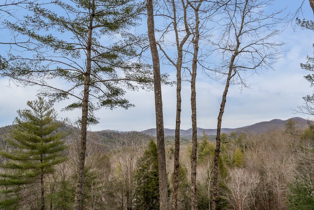 131 Toccoa Overlook Lane, Blue Ridge GA 30513 - Photo