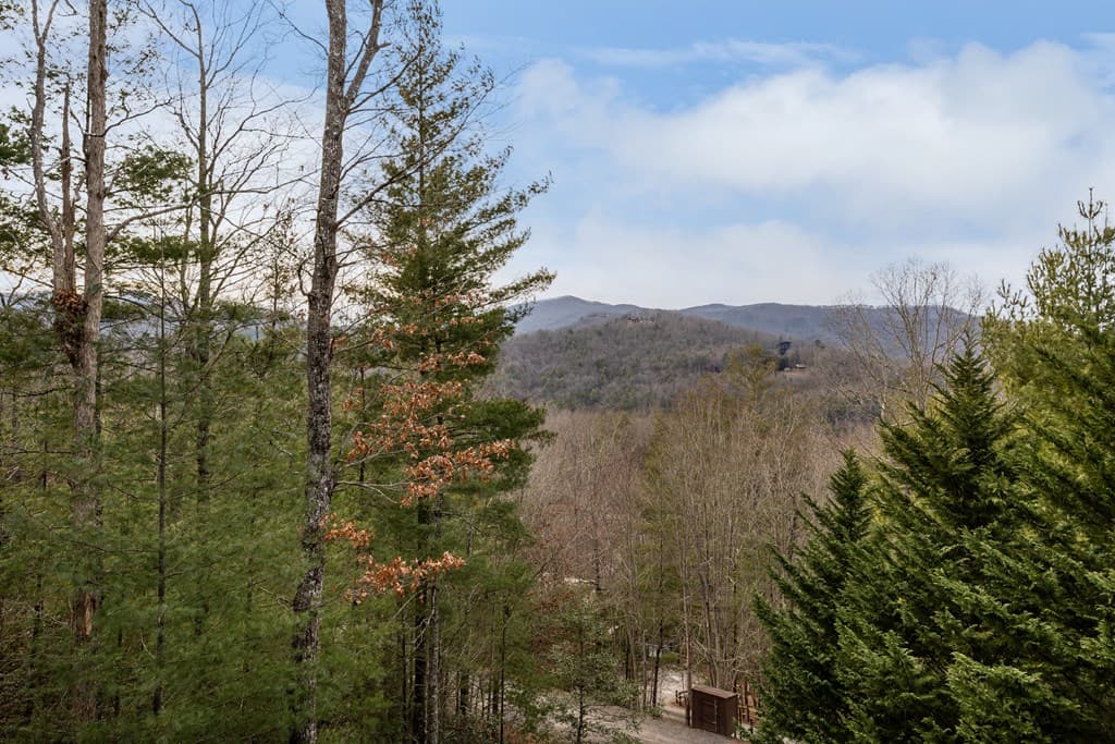 131 Toccoa Overlook Lane, Blue Ridge GA 30513 - Photo
