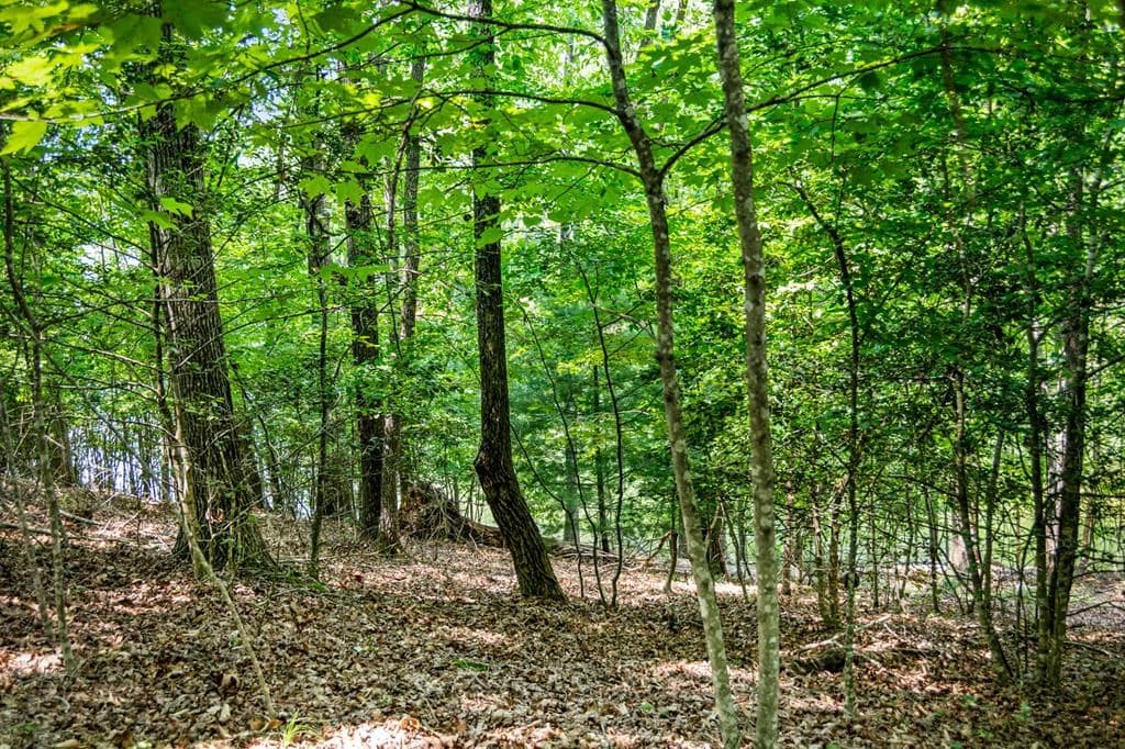 Lot 25 Talon Trace, Blairsville GA 30512 - Photo