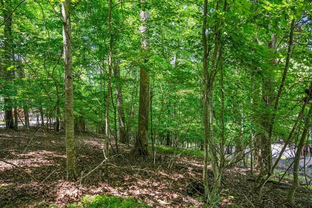 Lot 25 Talon Trace, Blairsville GA 30512 - Photo