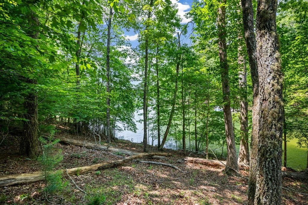 Lot 25 Talon Trace, Blairsville GA 30512 - Photo