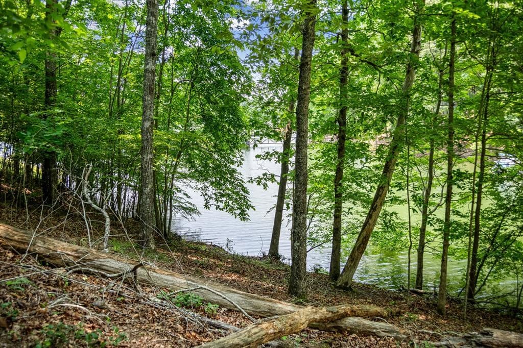 Lot 25 Talon Trace, Blairsville GA 30512 - Photo