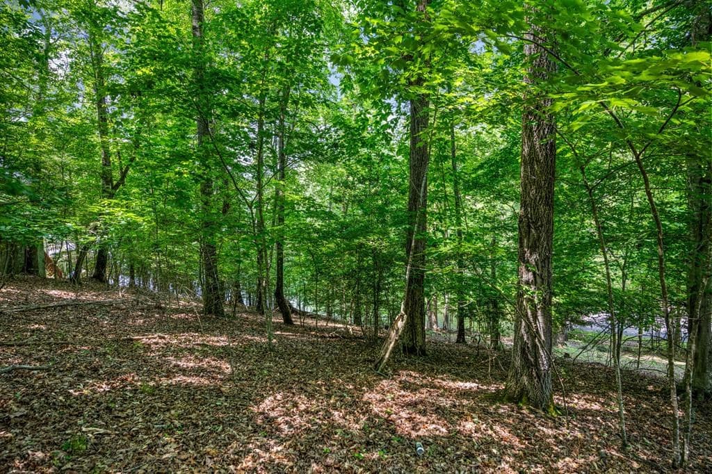 Lot 25 Talon Trace, Blairsville GA 30512 - Photo