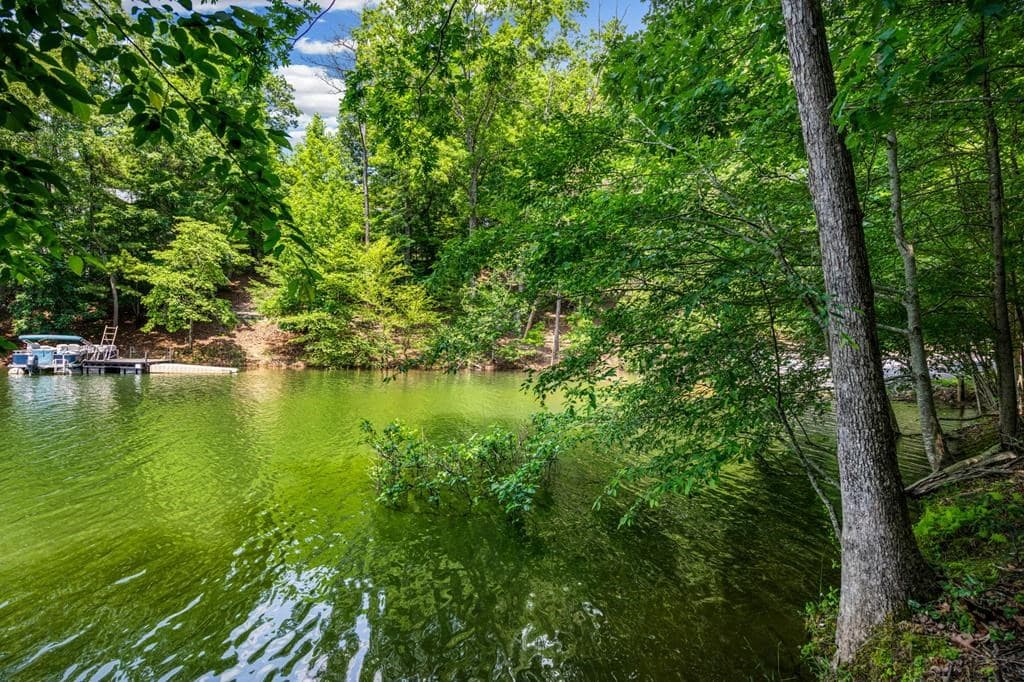 Lot 25 Talon Trace, Blairsville GA 30512 - Photo