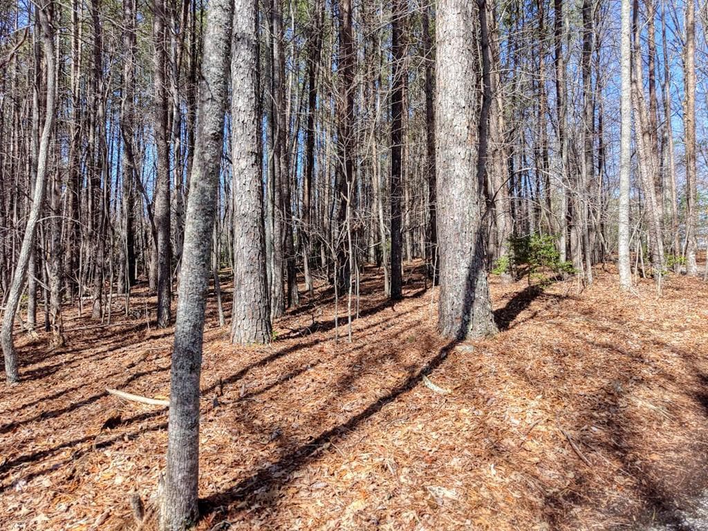 3.07 Acr Sunset Drive, Blairsville GA 30512 - Photo