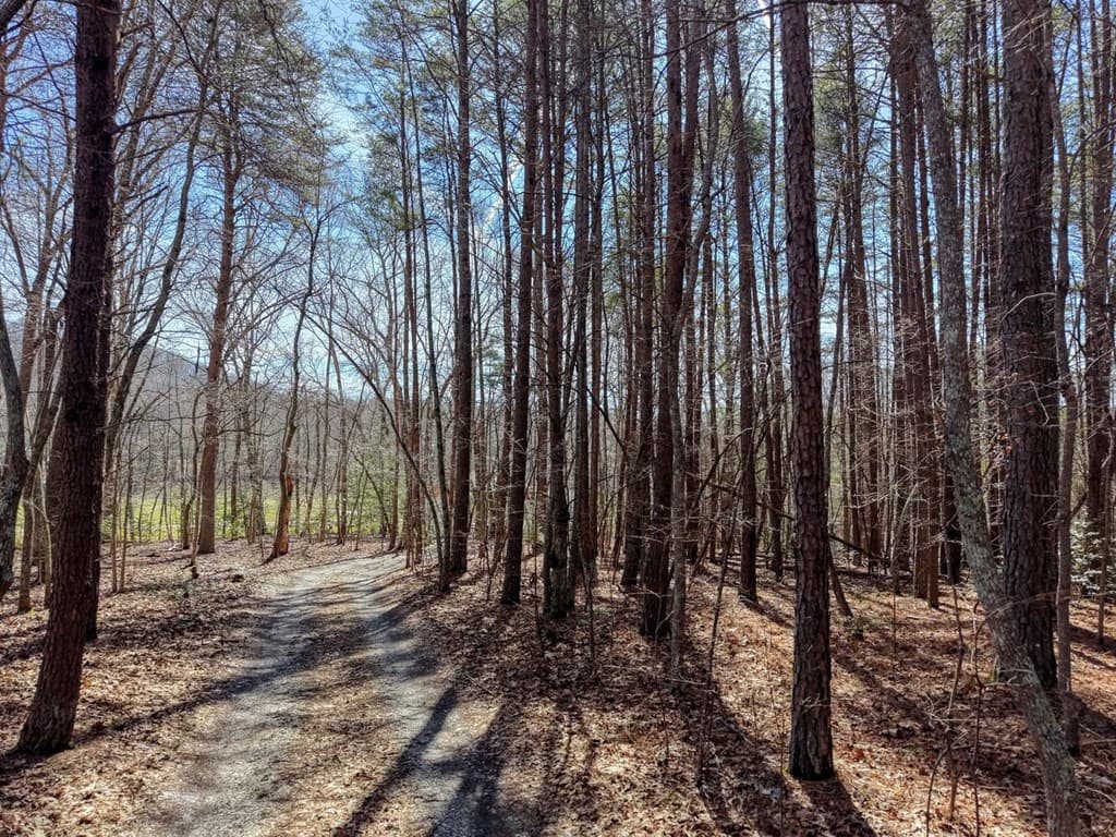 3.07 Acr Sunset Drive, Blairsville GA 30512 - Photo