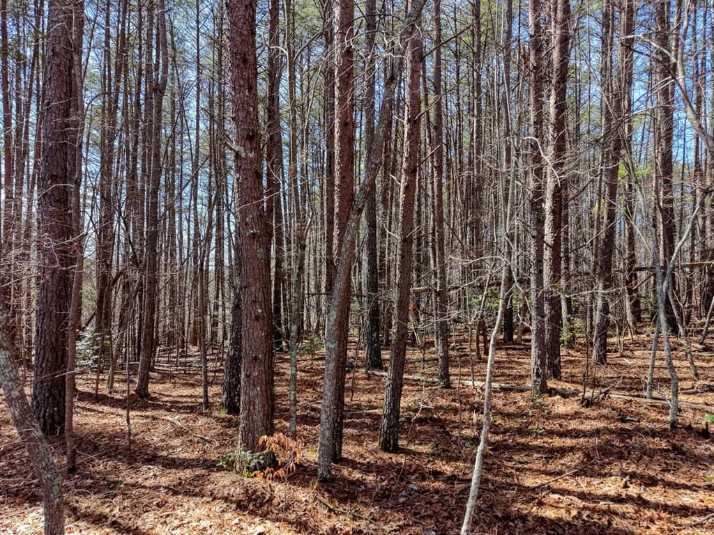 3.07 Acr Sunset Drive, Blairsville GA 30512 - Photo