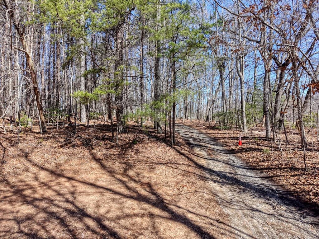 3.07 Acr Sunset Drive, Blairsville GA 30512 - Photo