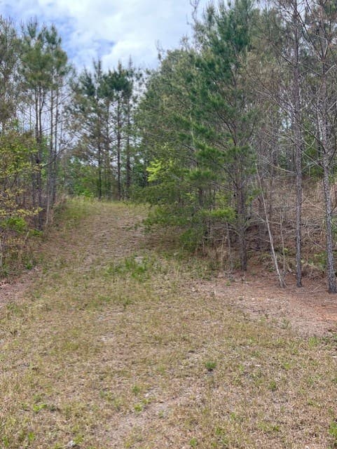 Lot 28 Eastside Drive, Ellijay GA 30536 - Photo