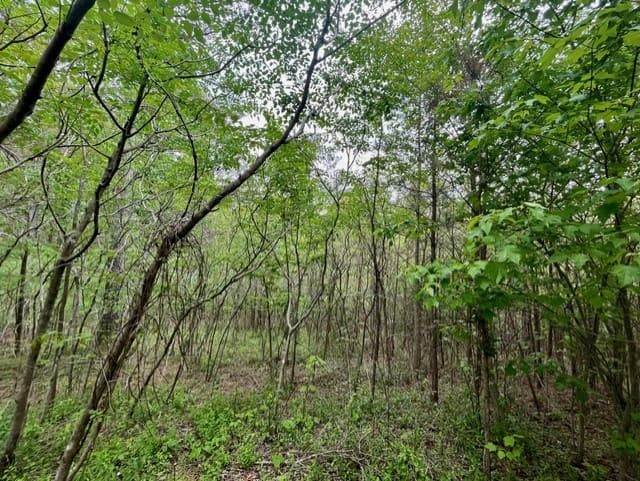 Lot 28 Eastside Drive, Ellijay GA 30536 - Photo