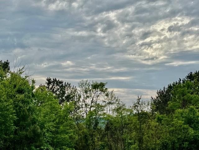 Lot 28 Eastside Drive, Ellijay GA 30536 - Primary photo