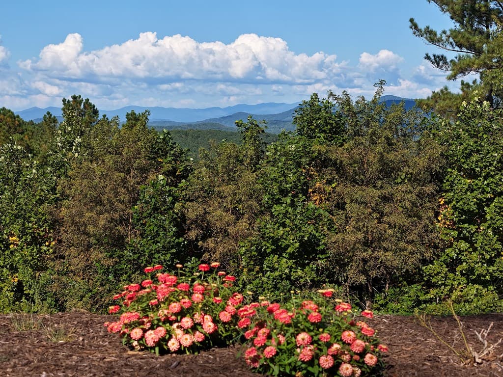 LOT55 Thirteen Hundred, Blairsville GA 30512 - Photo