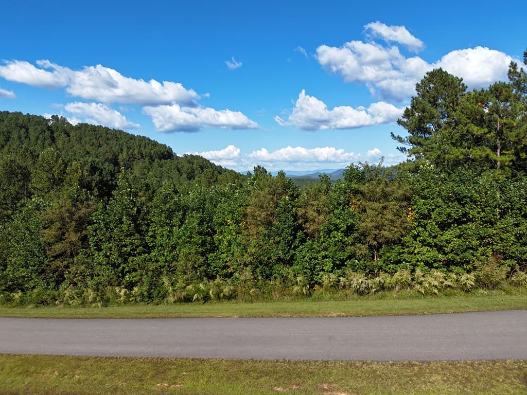 LOT55 Thirteen Hundred, Blairsville GA 30512 - Photo