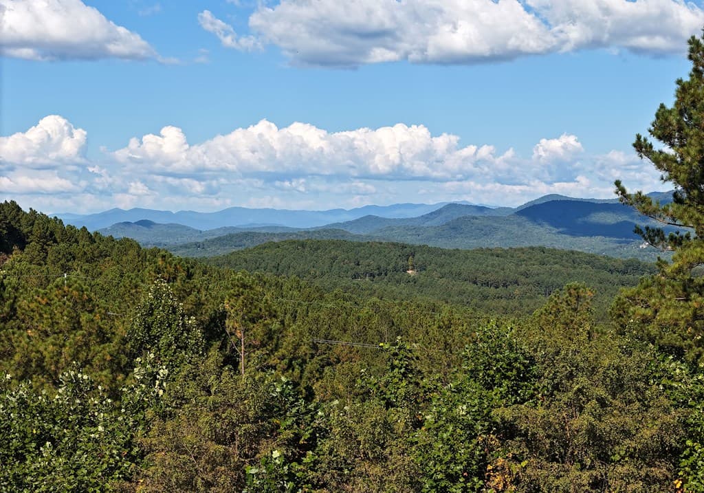 LOT55 Thirteen Hundred, Blairsville GA 30512 - Photo