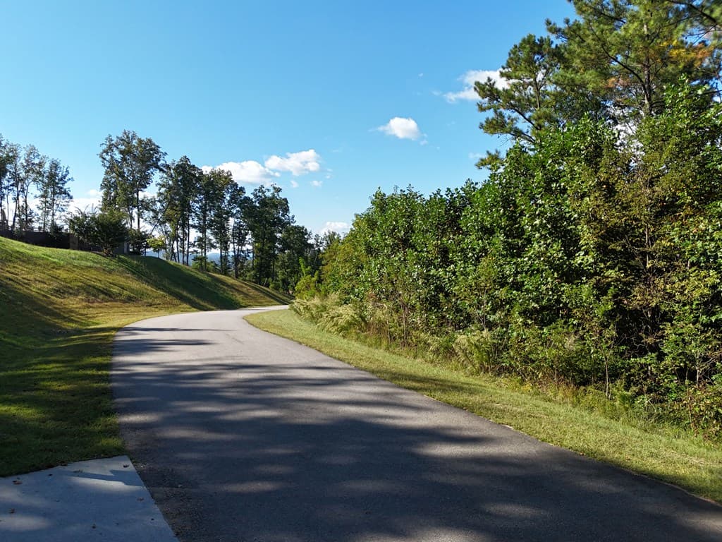 LOT55 Thirteen Hundred, Blairsville GA 30512 - Photo