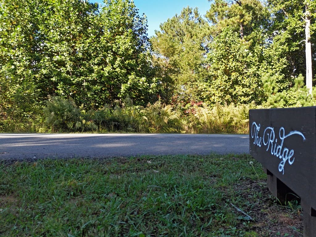 LOT55 Thirteen Hundred, Blairsville GA 30512 - Photo